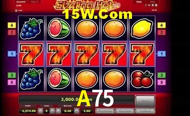 A75 Salvador - Statistics